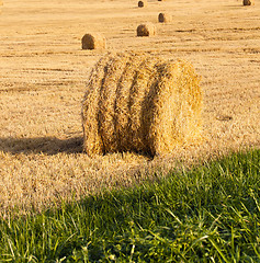 Image showing straw stack  