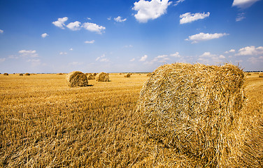 Image showing straw stack  