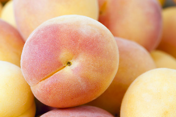 Image showing ripe apricots  