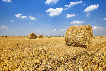 Image showing straw stack 