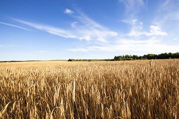 Image showing  harvest company