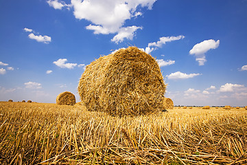 Image showing straw stack  