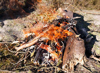 Image showing Daytime Camp Fire