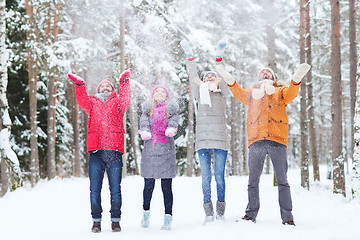 Image showing group of happy friends playin with snow in forest