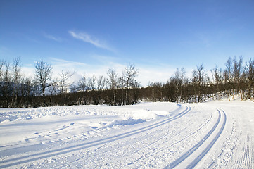 Image showing Cross Country Ski Trail