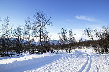Image showing Cross Country Ski Trail