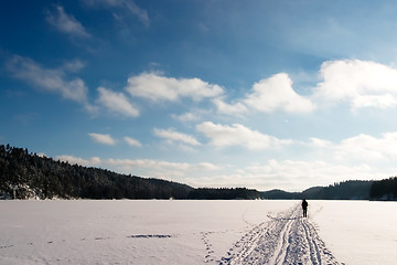 Image showing Cross Country Skiing