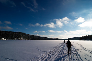 Image showing Cross Country Skiing