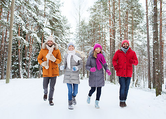 Image showing group of smiling men and women in winter forest