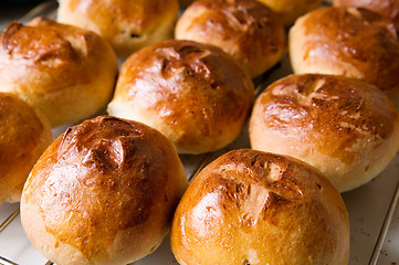 Image showing Hot Cross Buns