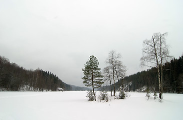 Image showing Norwegian Winter Lake Landscape