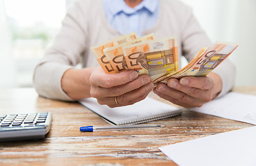 Image showing close up of senior woman counting money at home