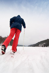 Image showing Cross Country Skier