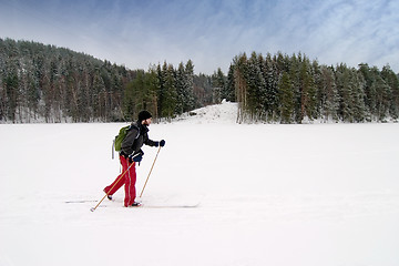 Image showing Novice Cross Country Skier