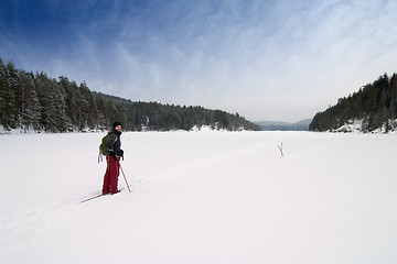 Image showing Cross Country Skiing