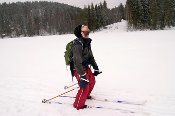 Image showing Tired Cross Country Skiier