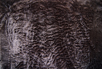 Image showing Black Fun Fur