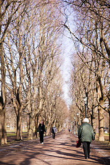 Image showing Old Woman on Walk in Park