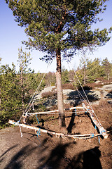 Image showing Homemade Swing