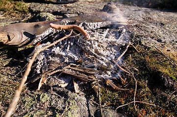 Image showing Wiener Roast