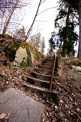 Image showing Forest Path