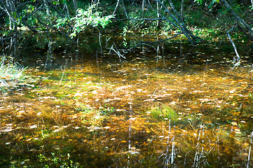 Image showing Fall Reflections