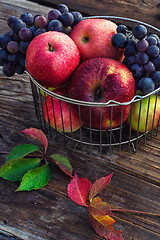 Image showing Autumn red apples