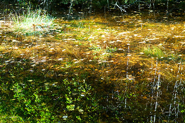 Image showing Fall Reflections