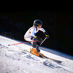 Image showing Downhill Skiier