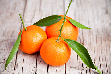 Image showing fresh tangerines with leaves 