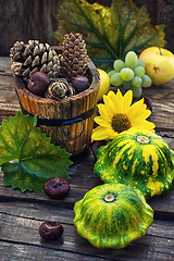 Image showing Autumn still life with squash