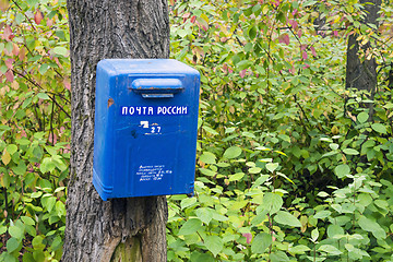 Image showing Mailbox on forest tree