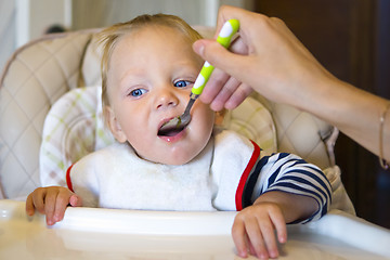 Image showing Feeding baby with a spoon