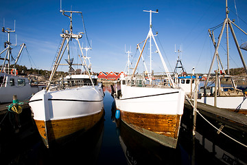 Image showing Fishing Boats at Dock