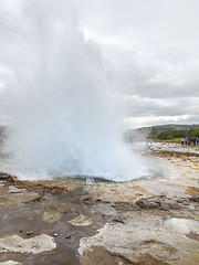 Image showing geyser in Iceland