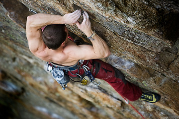 Image showing Male Rock Climber