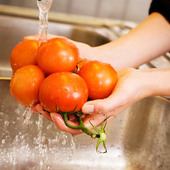 Image showing Washing Tomatoes