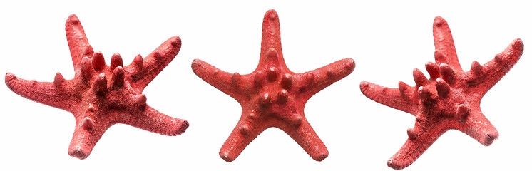 Image showing Red starfish isolated on white background