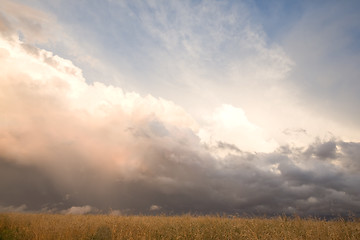 Image showing Prairie Rain Storm