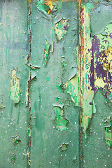 Image showing green   abstract wood in englan london  