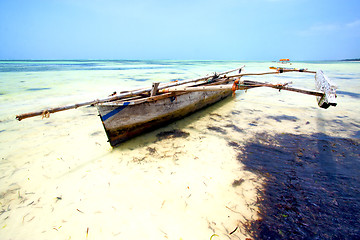 Image showing zanzibar beach  seaweed   indian ocean tanzania    