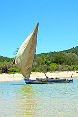Image showing pirogue beach seaweed in indian ocean madagascar  nosy be