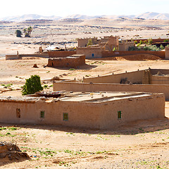 Image showing sahara      africa in morocco  palm the old contruction and  his