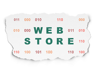 Image showing Web development concept: Web Store on Torn Paper background