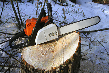 Image showing chainsaw