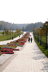 Image showing walking