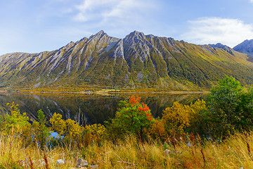 Image showing Autumn