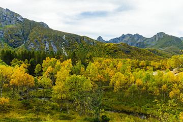 Image showing Autumn