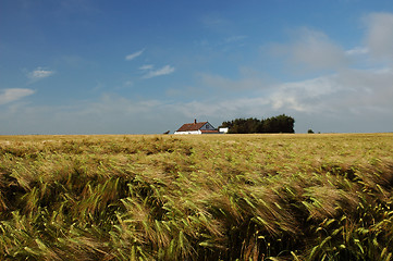 Image showing Landscape