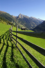 Image showing Alpine Fence